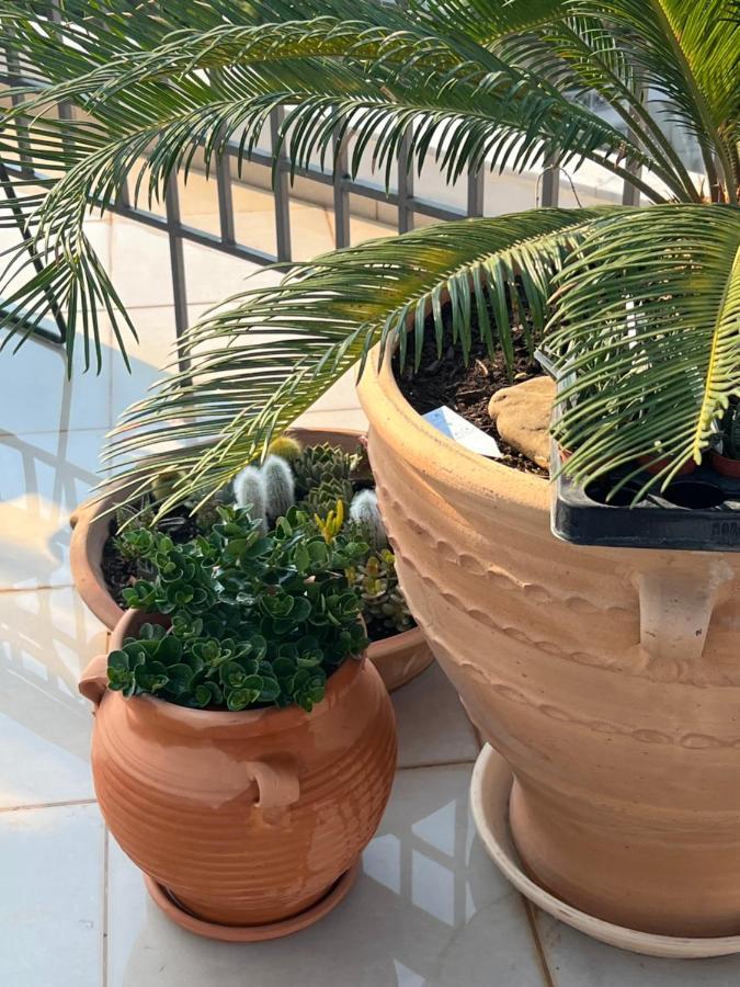 Magical Seaside Town Boutique Apts 2 Kyparissia Eksteriør billede